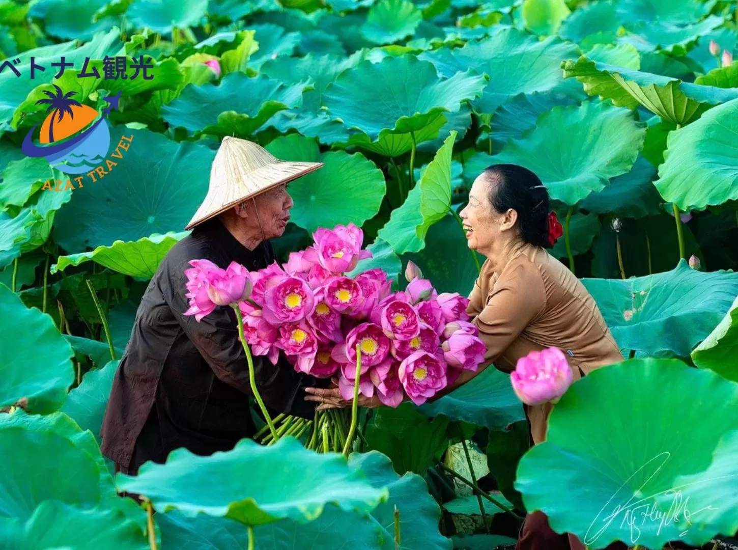 ベトナムの蓮/蓮池のほとりで写真を撮る-ベトナムで蓮が咲く季節-ハノイ市内外の蓮鑑賞ツアー-ベトナム旅行-一番安い観光-ガイド付き
